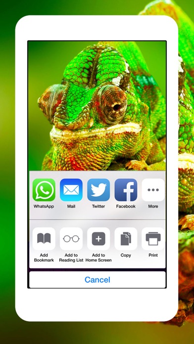 ヘビ トカゲ クモ綱 ワニ 動物 爬虫類 壁紙 Wallpapers Iphoneアプリ Applion