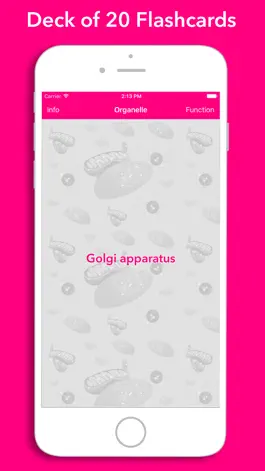 Game screenshot FlashKarte Cellular Organelles mod apk