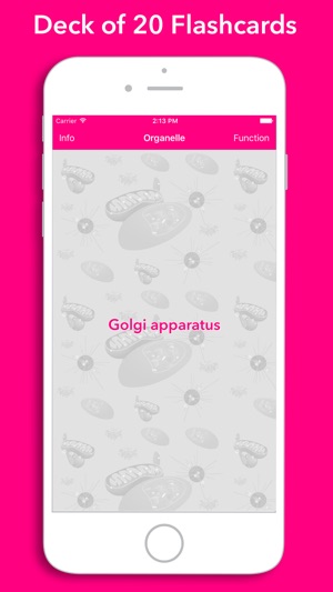 FlashKarte Cellular Organelles(圖1)-速報App