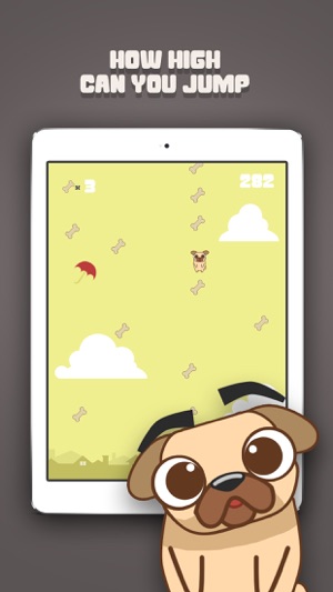 Fly Pug Fly Pro(圖2)-速報App