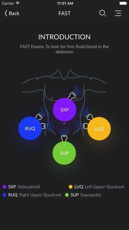 RESUS Ultrasound LITE screenshot-4