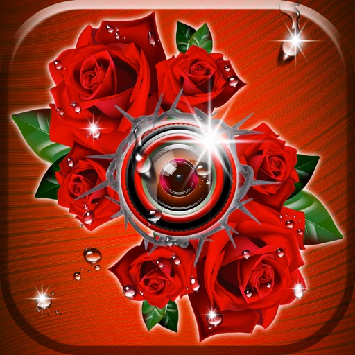 Roses Photo Editor - Romantic Rose Photo Frames & Flower.s Stickers icon