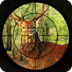 Activities of Dear Hunter - Deer Bear and Fox hunting with sniper