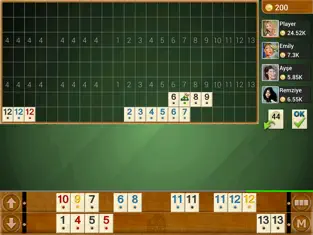 Screenshot 4 Rummy Offline iphone