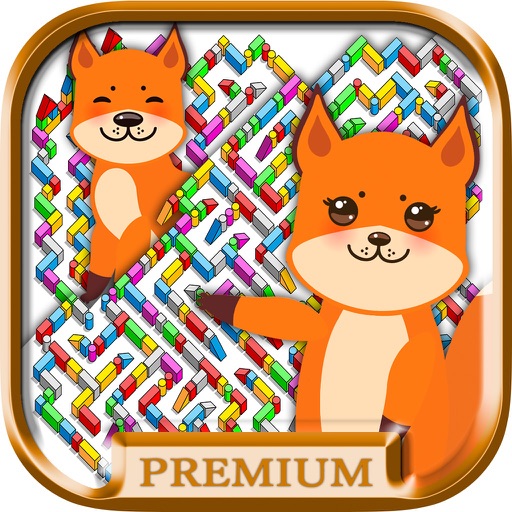 Mazes - logic games for children Premium