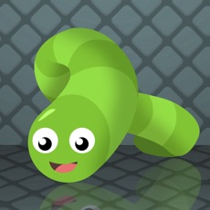 Activities of Snake Slither Survival