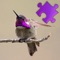 Hummingbirds Best Puzzles - a most fun jigsaw puzzle with most amazing photos and detailed information about the photos