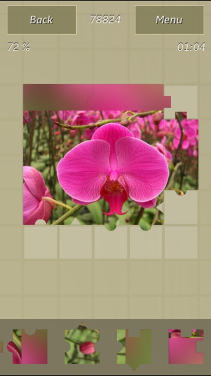 Flowers Colors Great Puzzle screenshot-3