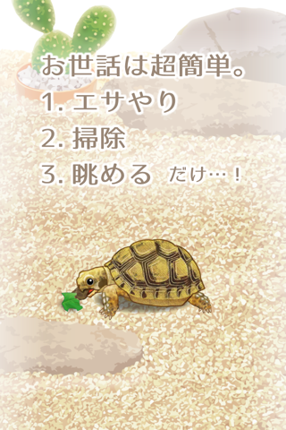 Tortoise Pet screenshot 2