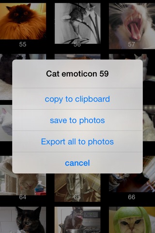 Funny Cat Emoticon screenshot 3