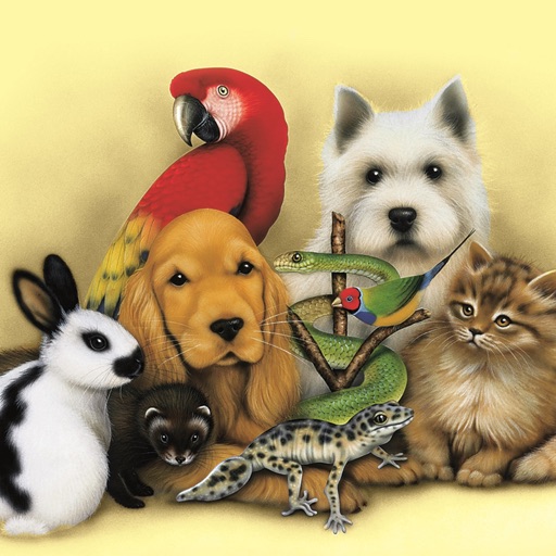 All Pets Clinic. icon