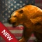 USA Archery FPS Hunting Simulator: Wild Animals Hunter & Archery Sport Game