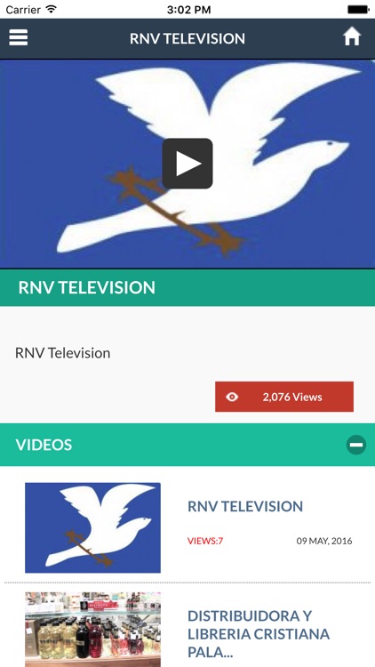 RNV Television