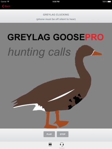 REAL Greylag Goose Hunting Calls & Greylag Goose CALLS + Greylag Goose Sounds! screenshot 4