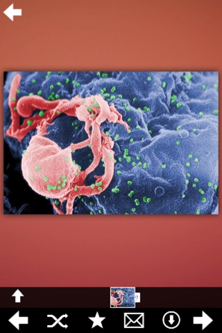 HIV/AIDS Virus screenshot 3