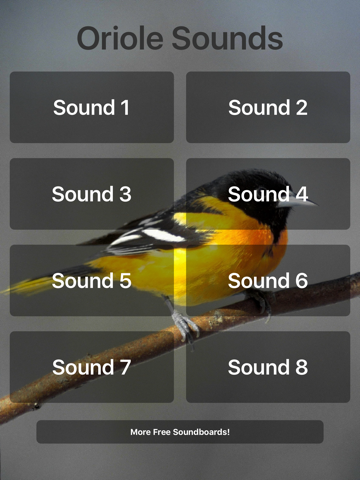 Oriole Sounds - náhled