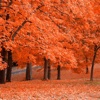 Fall Wallpapers - Beautiful Collections Of Fall Wallpapers