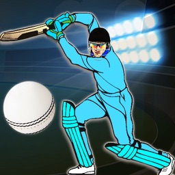 Quick Cricket 3D