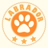 Icon Labrador Retriever Training & Breeding App