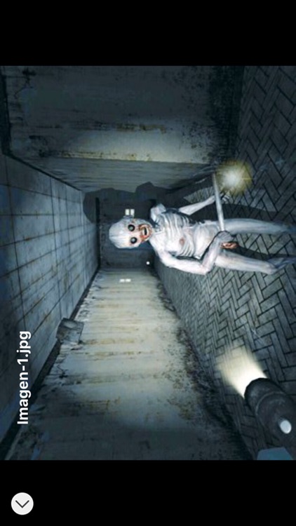 Pro Game - Penumbra: Overture Version