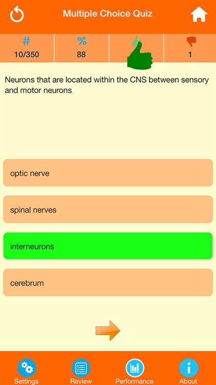 Human Anatomy : Nervous System