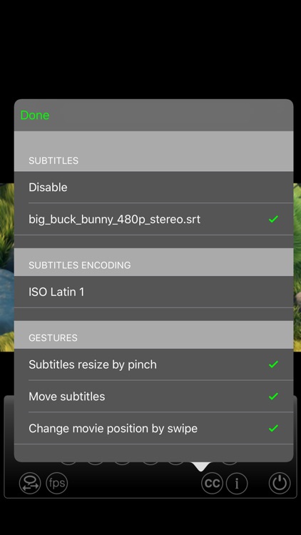 Subtitles Player