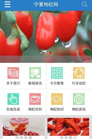 宁夏枸杞网 screenshot 2