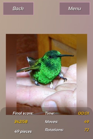 Hummingbirds Best Puzzles screenshot 4