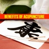 Chinese Acupuncture Therapy - Treatment For Weight Loss