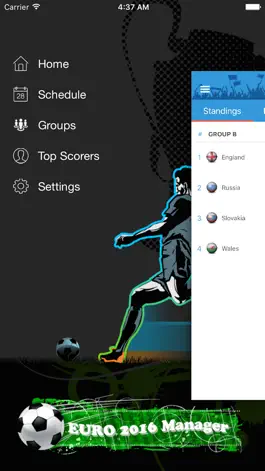 Game screenshot EURO 2016 Football Manager mod apk