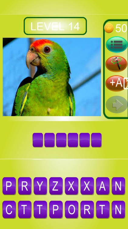 Spell Animal Name Quiz Pro screenshot-4