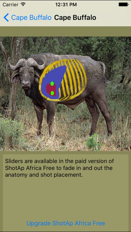 ShotAp Africa Free