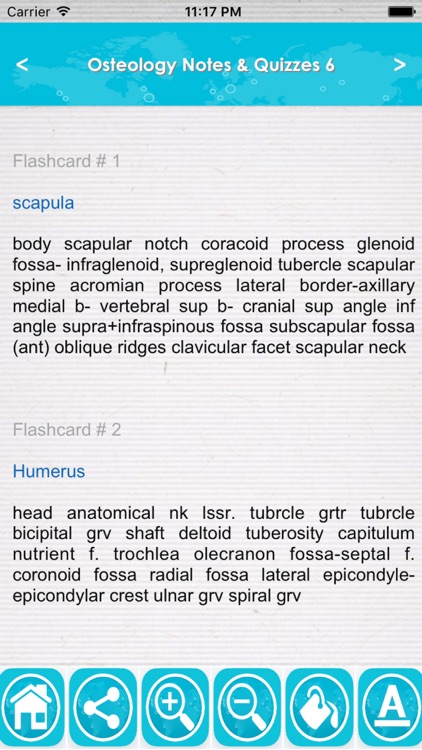 Osteology Exam Review : 5300 Quiz & Study Notes