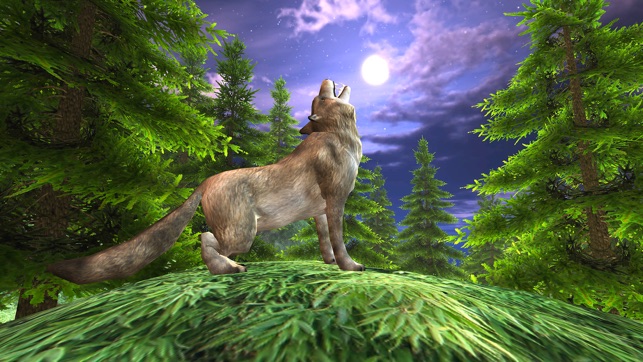 Wild Wolf Attack Adventure 3D - Wild  Beast wolf Revenge Fro(圖5)-速報App