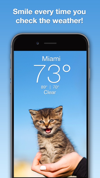 Weather Kitty