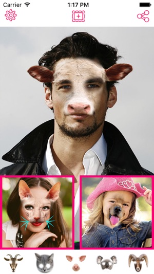 Animal Face Photo Sticker Booth - Morph and Change your imag(圖2)-速報App