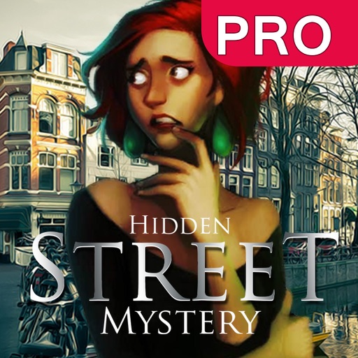 Hidden Street Mystery iOS App