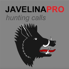 Activities of REAL Javelina Calls & Javelina Sounds to use as Hunting Calls