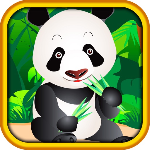 AAA Pop & Win Lucky Rich Panda Hi-Lo (High-Low) Game icon