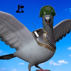 Activities of VR Spy Pigeon Secret Mission