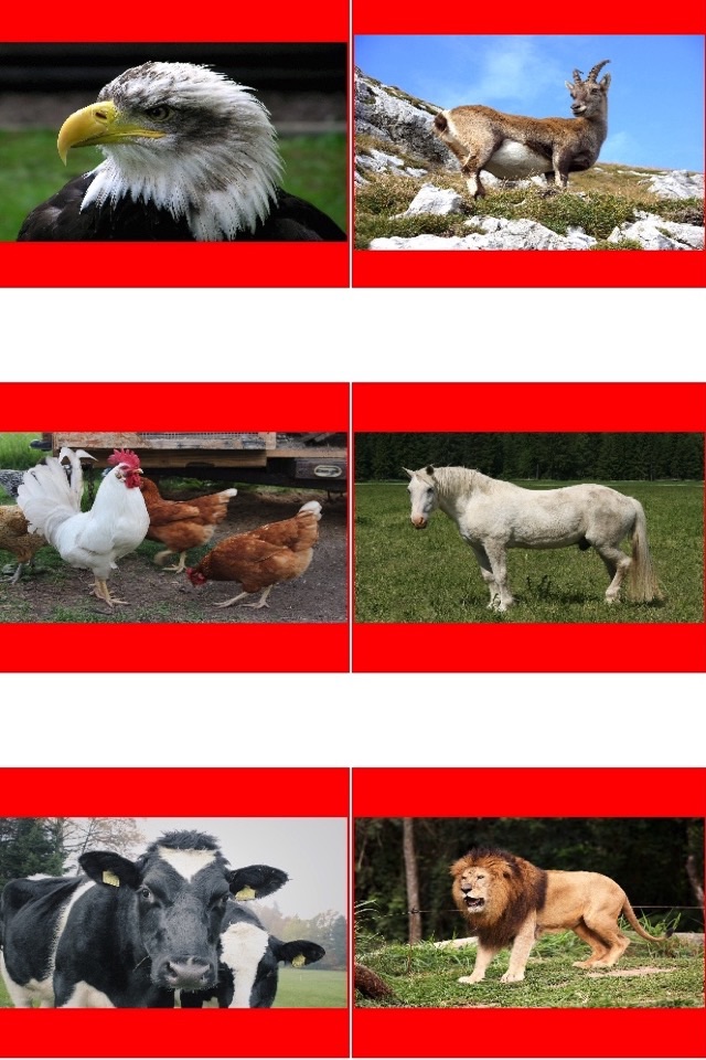 Animal Picture Matching Kids Games:Memory Matches screenshot 3