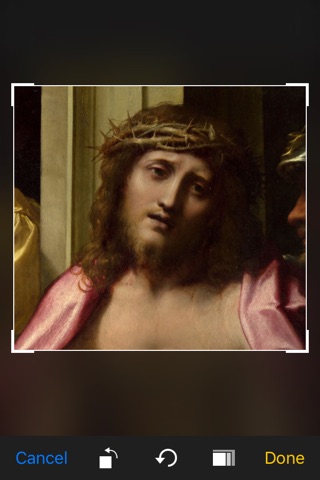 Correggio's Art screenshot 3