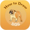 How to Draw Dog