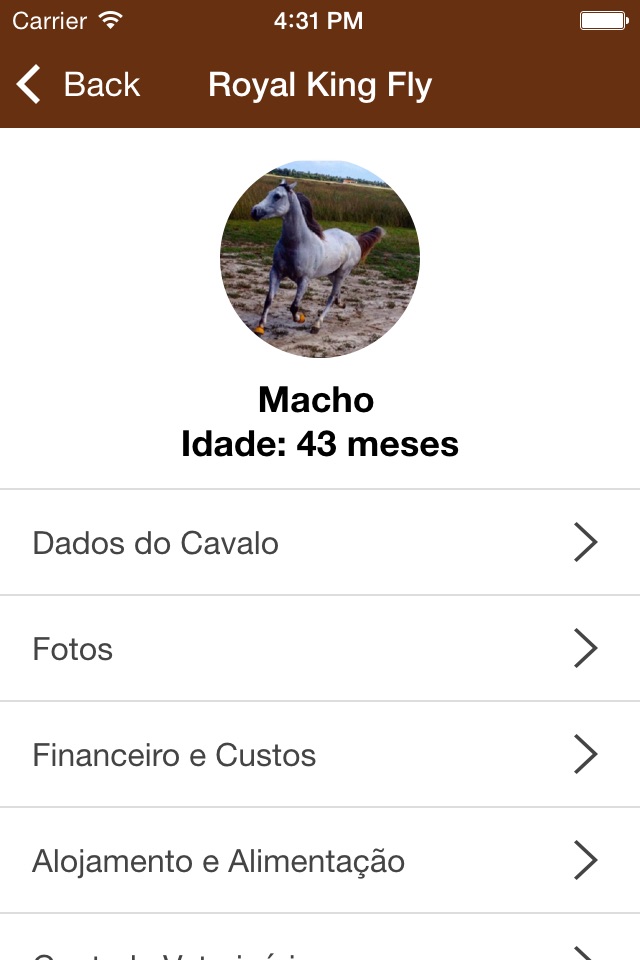 Meu Cavalo App screenshot 4
