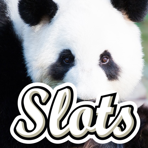 Cute Panda Slots - Play Free Casino Slot Machine! Icon