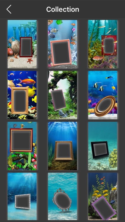 Aquarium & Underwater Photo Frames - make eligant and awesome photo using new photo frames screenshot-3