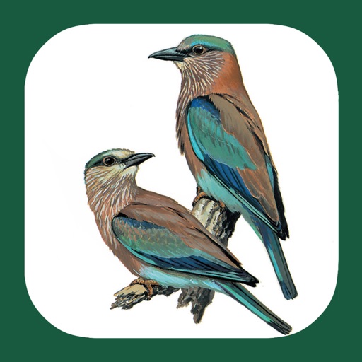 eGuide to the Handbook of Bird Identification for Europe and the Western Palearctic Icon