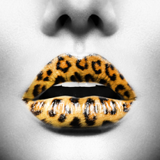 ‎Pic Morph Wild Mix - Transform yr Skin or Face with Extraordinary Pattern and Animal Texture.s