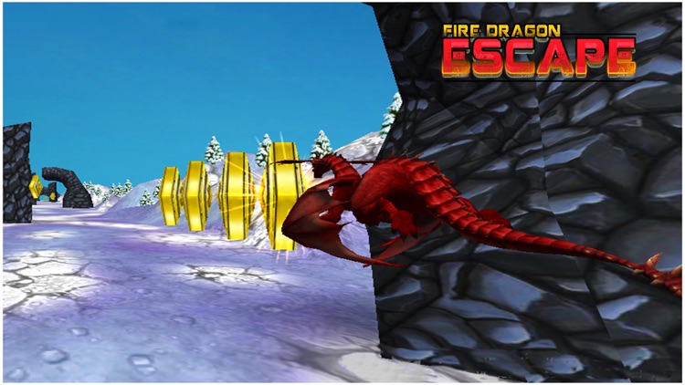 Fire Dragon Escape screenshot-3