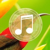 Birds sounds relaxation-Free sleep relaxing melodies and calming birds sound effects